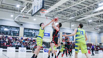Irish Guide Dogs Ballincollig v UCD Marian at MTU Arena, Cork