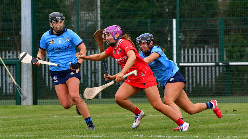 Ger Manley: Cork coped well with Dublin physicality and small pitch