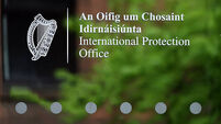 Record number of people in international protection system died last year