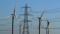 Government urged to deliver net zero action