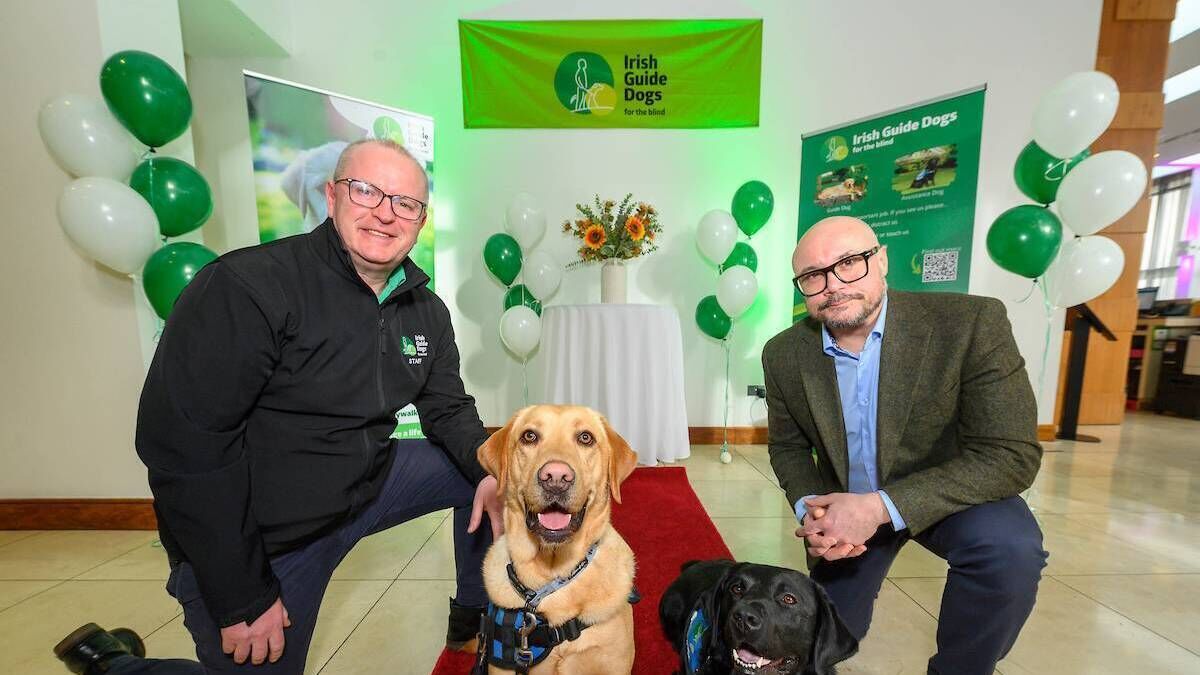 Cork hotel leads the way in guide dog charity deal