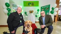 Cork hotel leads the way in guide dog charity deal
