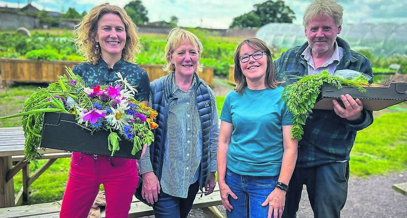 Home Grown presenter Kitty Scully with Rosemary Fitzpatrick, Hilda Crampton, and Christy Farren in the Townley Hall Garden in Drogheda