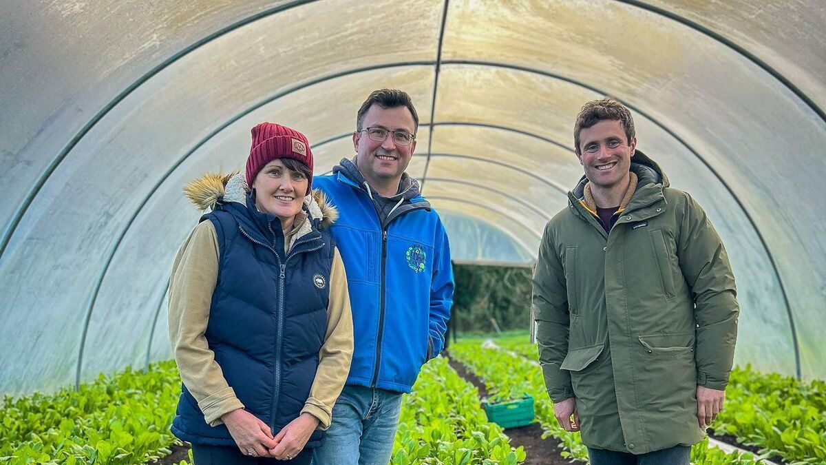 TV: Cork couple tap into power of organic food