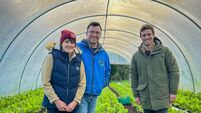 TV: Cork couple tap into power of organic food