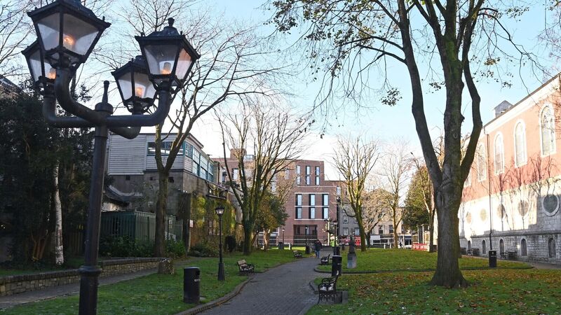 Call for Cork's Bishop Lucey Park to be renamed 