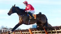 Cheltenham Festival: Strong Cork connections as brilliant jockey Michael O'Sullivan is remembered