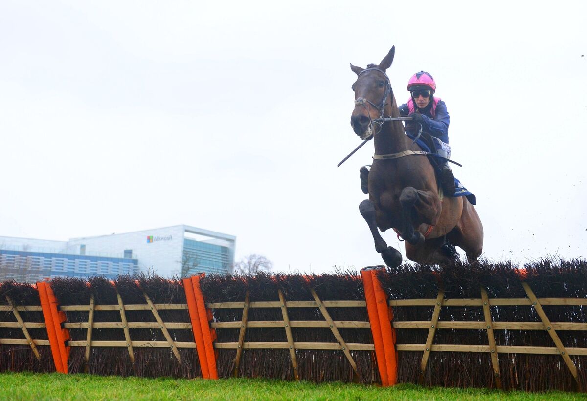 Kopek Des Bordes and Paul Townend win the Tattersalls Ireland Novice Hurdle (Grade 1) for trainer Willie Mullins. Picture: Healy Racing Kopek Des Bordes and Paul Townend win the Tattersalls Ireland Novice Hurdle (Grade 1) for trainer Willie Mullins. Picture: Healy Racing