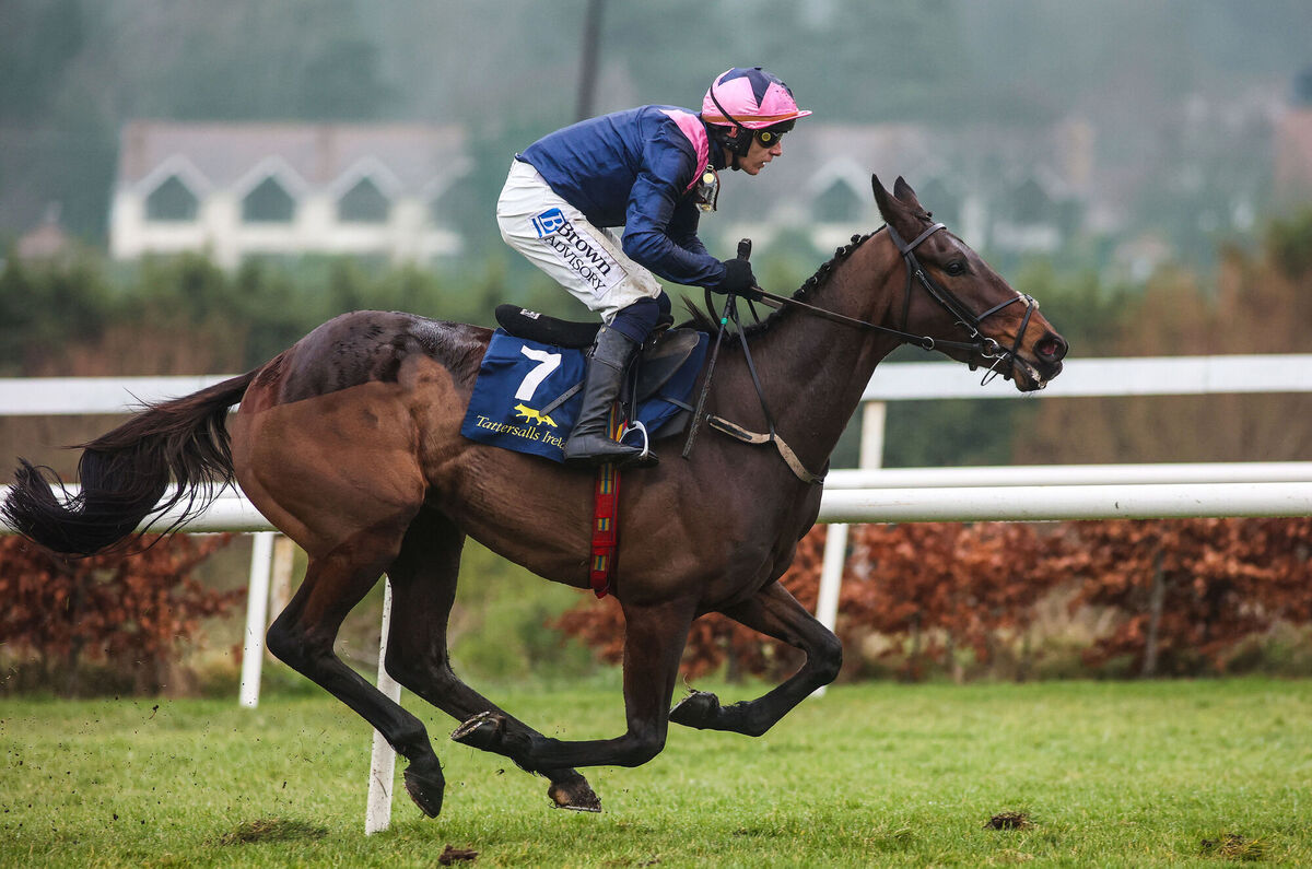 Kopek Des Bordes and jockey Paul Townend. Kopek Des Bordes is one of Willie Mullins' big hopes for this year's Cheltenham Festiva