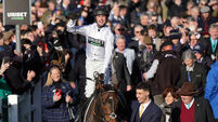 Cheltenham File Photos