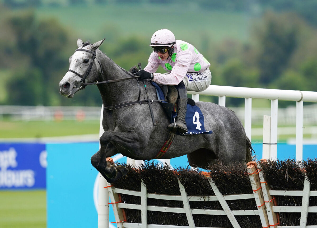 Lossiemouth ridden by Paul Townend clears the last before winning the Coolmore N.H. Sires Bolshoi Ballet Irish EBF Mares Champion Hurdle.