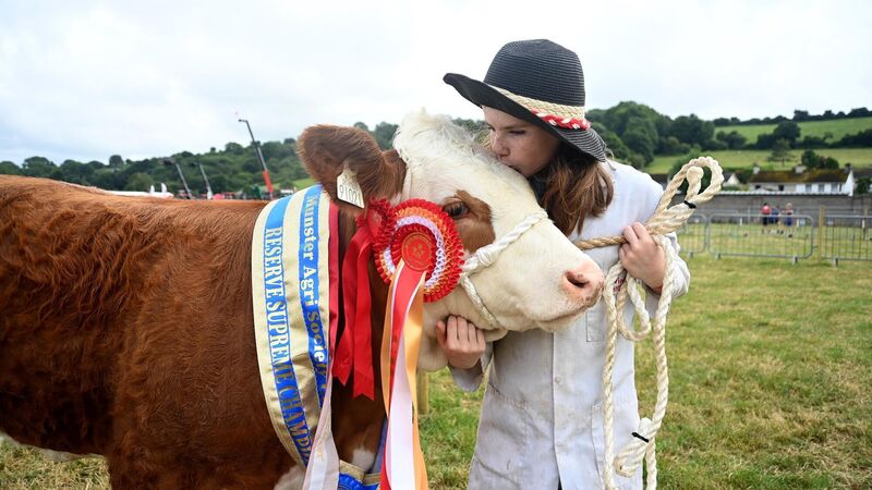 Agricultural shows in Cork to receive €138k funding boost 