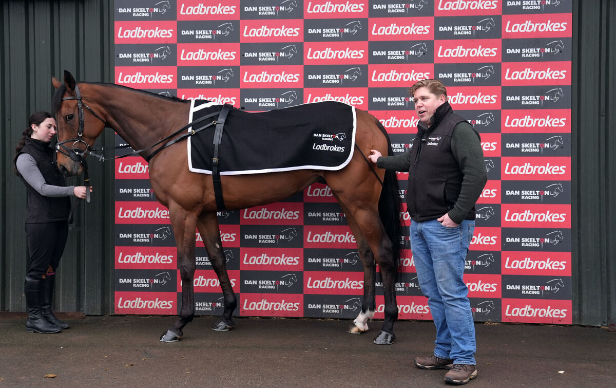 The New Lion with trainer Dan Skelton at Lodge Hill, Alcester.