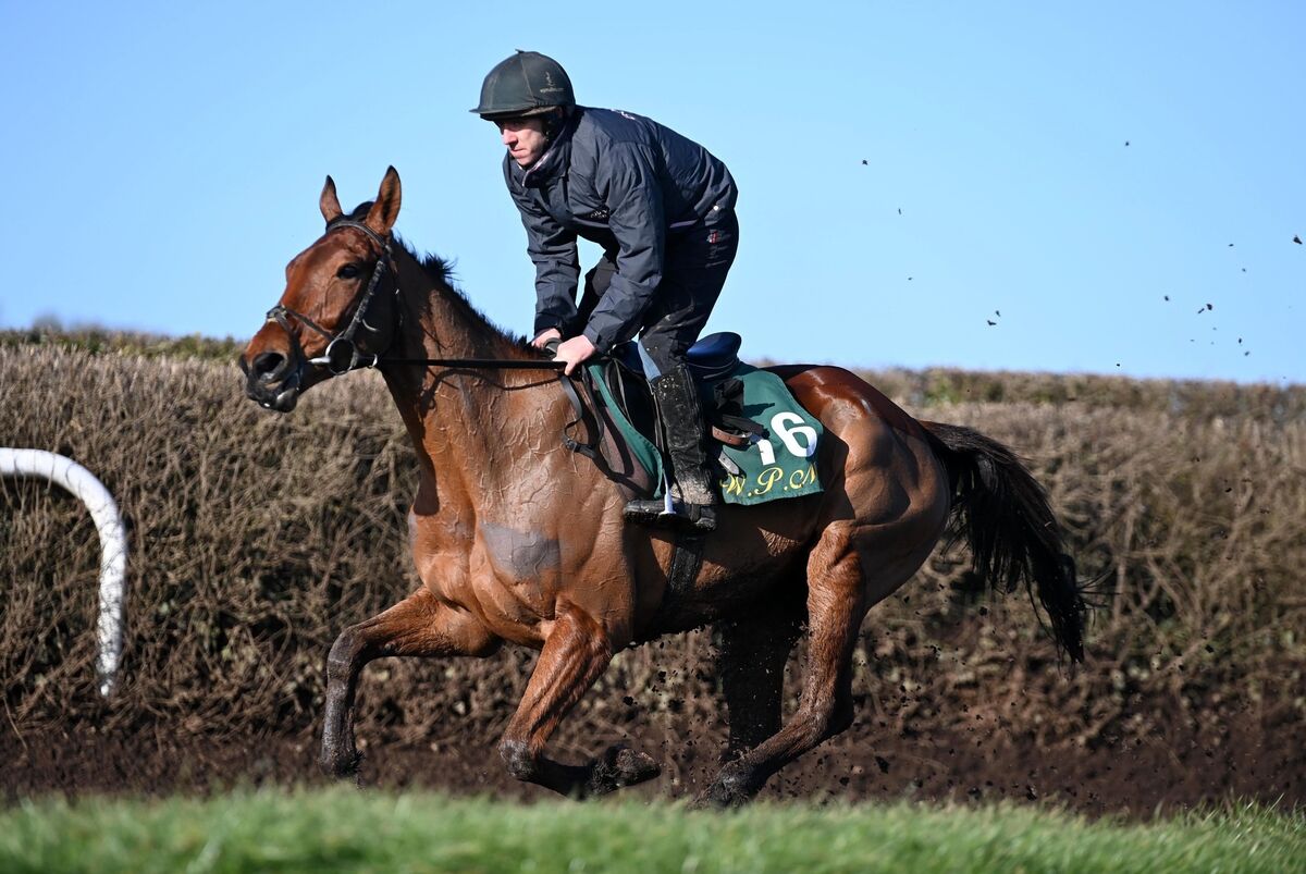 Ballyburn &amp; Daniel Redmond on the gallops.