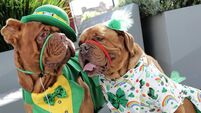 Celebrate the Irish... by using these 10 phrases as Gaeilge