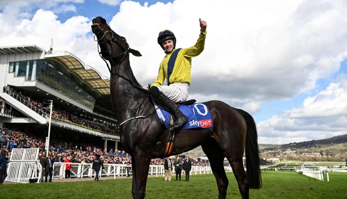 Jockey Michael O'Sullivan celebrates on Marine Nationale after winning the Sky Bet Supreme Novices' Hurdle. Picture: Harry Murphy/Sportsfile Jockey Michael O'Sullivan celebrates on Marine Nationale after winning the Sky Bet Supreme Novices' Hurdle. Picture: Harry Murphy/Sportsfile