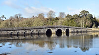  'A new road and bridge needs to be built into Cobh': Call for Great Island back-up bridge plan