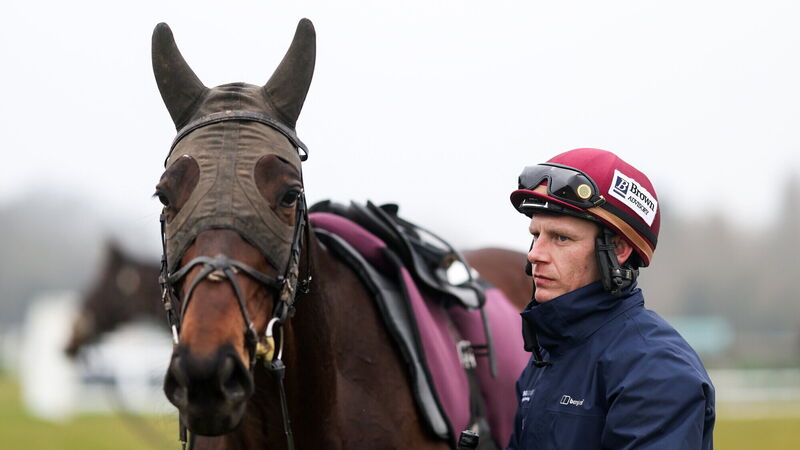 Willie Mullins keen to keep Kopek cool in what will be an emotionally-charged Supreme test 