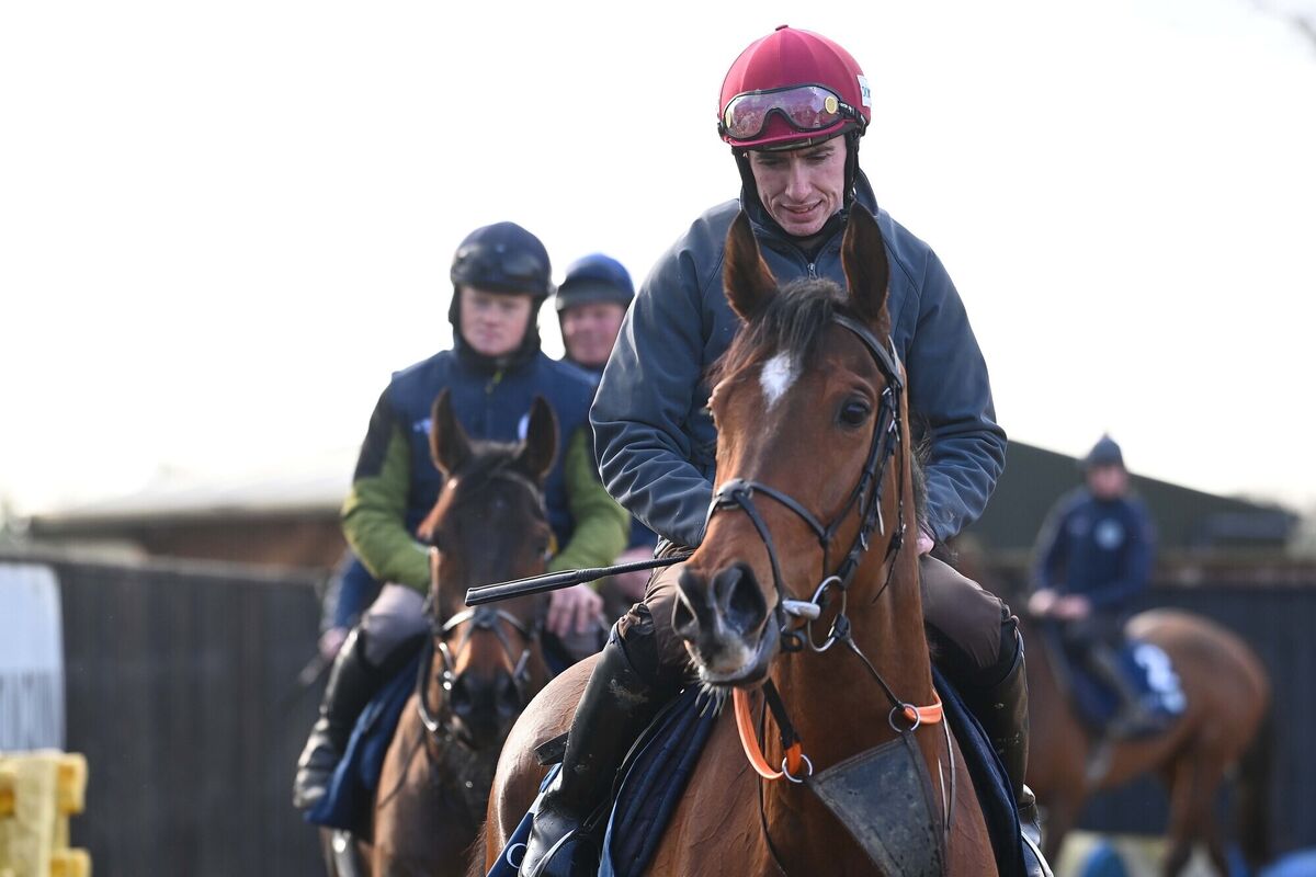 Champion Jockey Jack Kennedy pictured riding Teahupoo this morning ahead of The Cheltenham Festival as he works his way back to full fitness from a broken leg. Champion Jockey Jack Kennedy pictured riding Teahupoo this morning ahead of The Cheltenham Festival as he works his way back to full fitness from a broken leg.