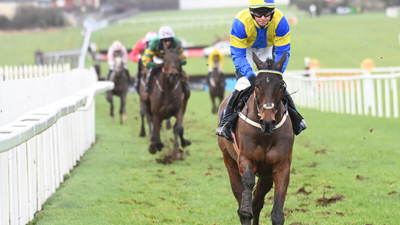 Cork punters will be hoping to see Answer To Kayf do the business in the Novice Handicap Chase Cork punters will be hoping to see Answer To Kayf do the business in the Novice Handicap Chase