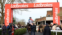Cheltenham File Photos