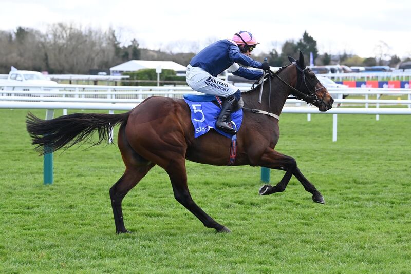 Cheltenham 11-3-25 Cheltenham 11-3-25