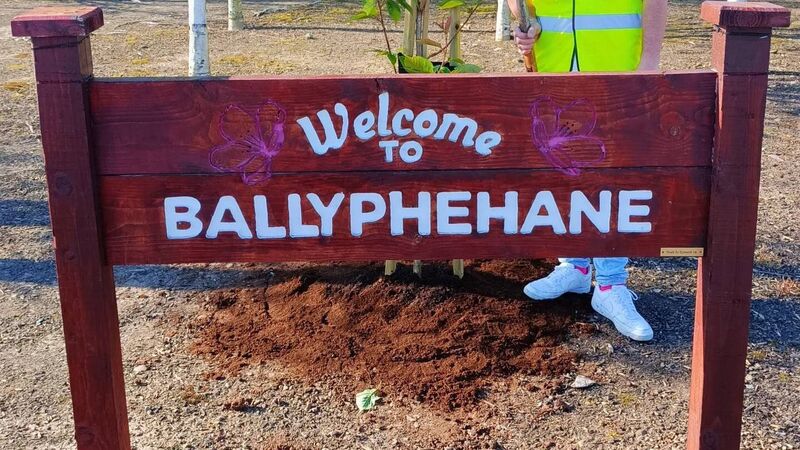 All About Cork: Tidy Towns highlight rise in discarded drug-related items