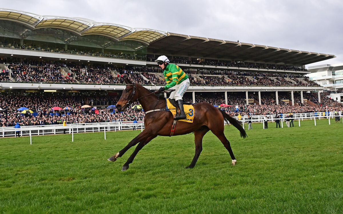 Fact To File and Mark Walsh win the Ryanair Chase (Grade 1). Picture: Healy Racing