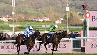 Cheltenham Festival 2025 - Gold Cup Day - Cheltenham Racecourse