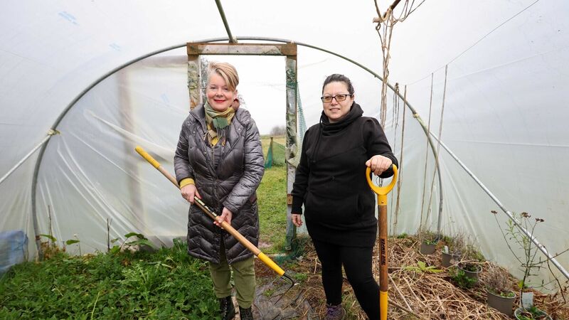 Cork's Food Policy Council helping communities to grow their own food 
