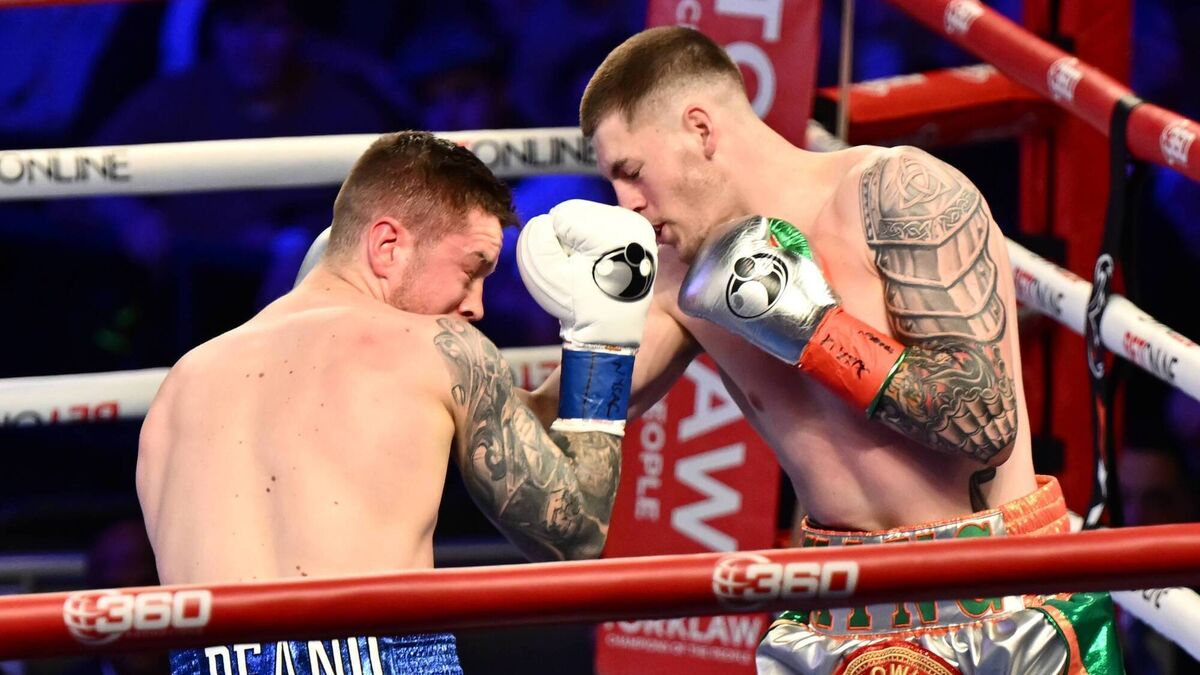 Cork’s Callum Walsh delivers devastating first-round KO at Madison Square Garden 