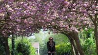 In the garden: Spring has officially sprung