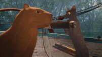 Film Review: Flow is the cat's whiskers