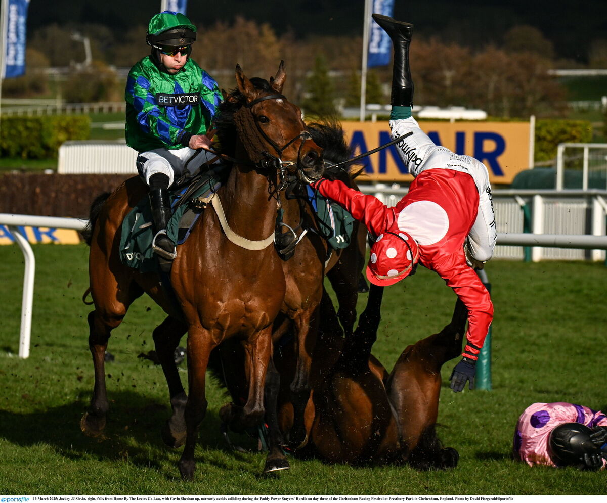 Jockey JJ Slevin, right, falls from Home By The Lee as Ga Law, with Gavin Sheehan up, narrowly avoids colliding during the Paddy Power Stayers' Hurdle. Picture: David Fitzgerald/Sportsfile