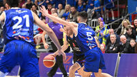 Cork Basketball: UCC Demons wary of wounded Neptune with nothing to lose