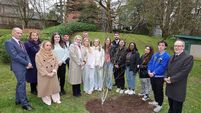 Launch of a new social work pathway in Cork