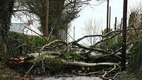 Winter weather Jan 24th 2025