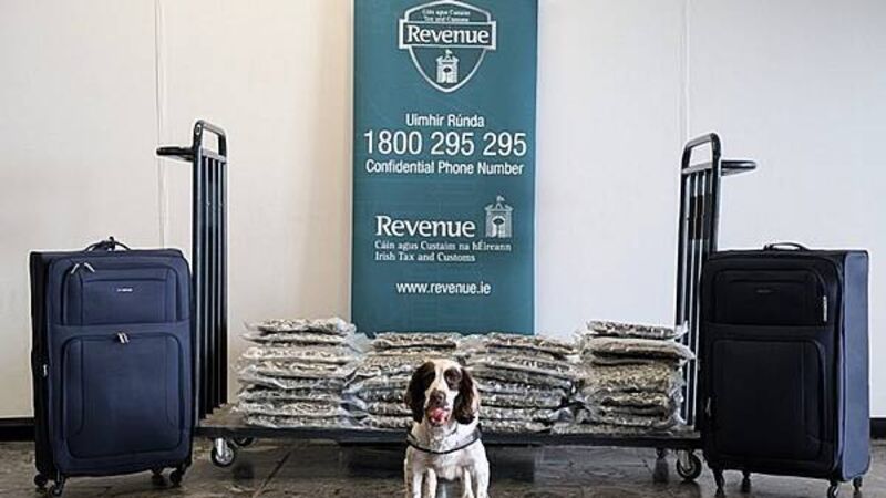 Cannabis valued at €800,000 seized at Shannon Airport