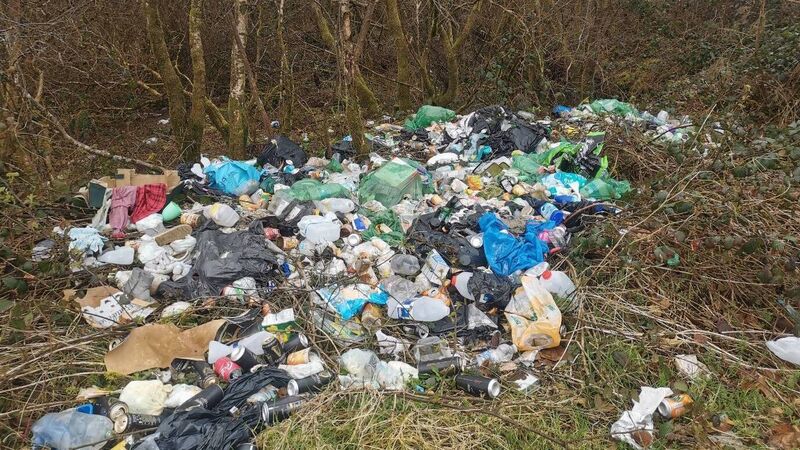 Rise in complaints about litter across Cork county last year, but fewer fines issued Rise in complaints about litter across Cork county last year, but fewer fines issued