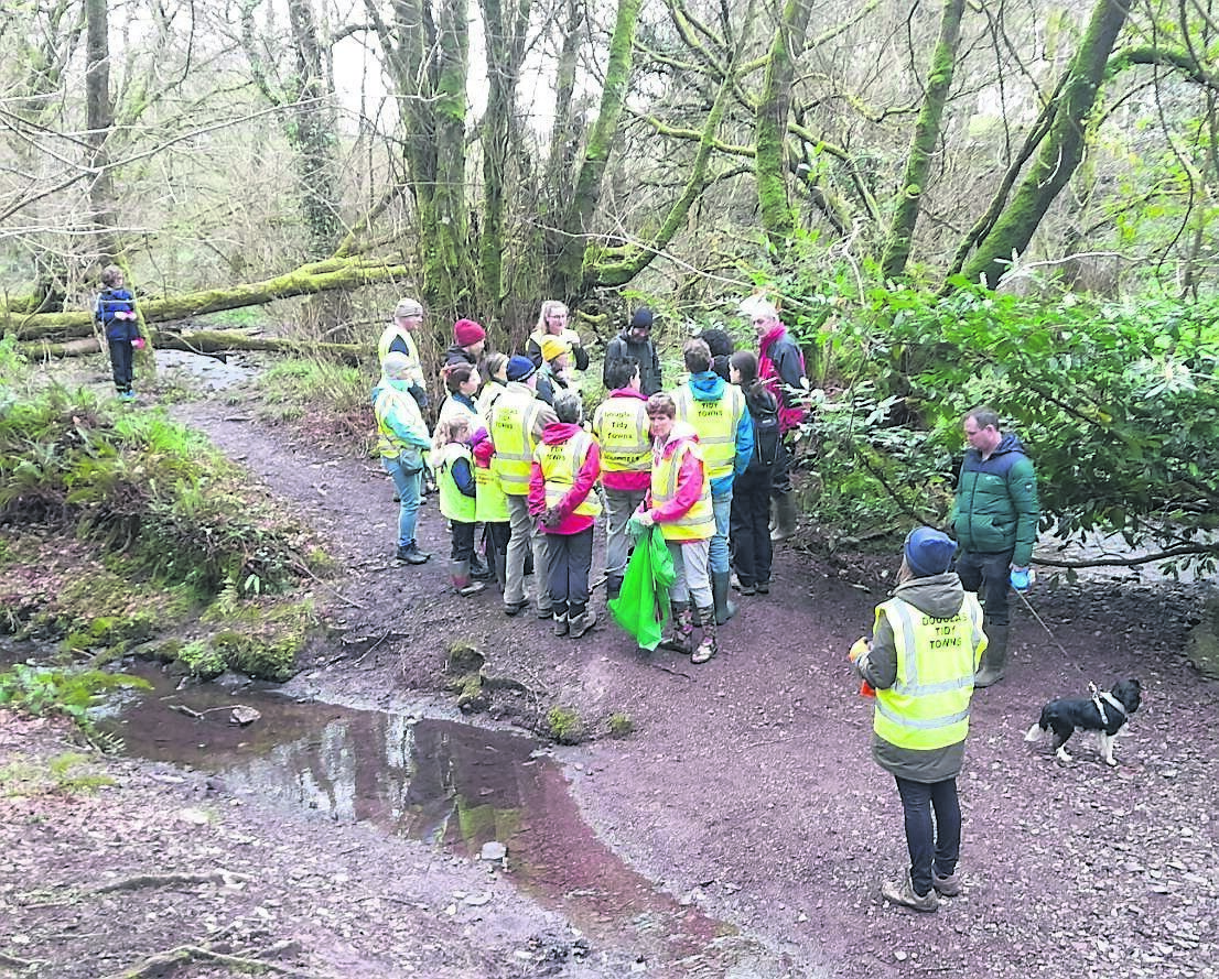 Volunteers and experts at the first Douglas Tidy Towns work party of the year at Doman’s Wood, Donnybrook, last Saturday. Inset: Simon Harrison (right) from BEES, UCC, identifies aquatic invertebrates found in a ‘kick sample’ from the nearby stream in Doman’s Wood. 	Pictures: Douglas Tidy Towns
                    