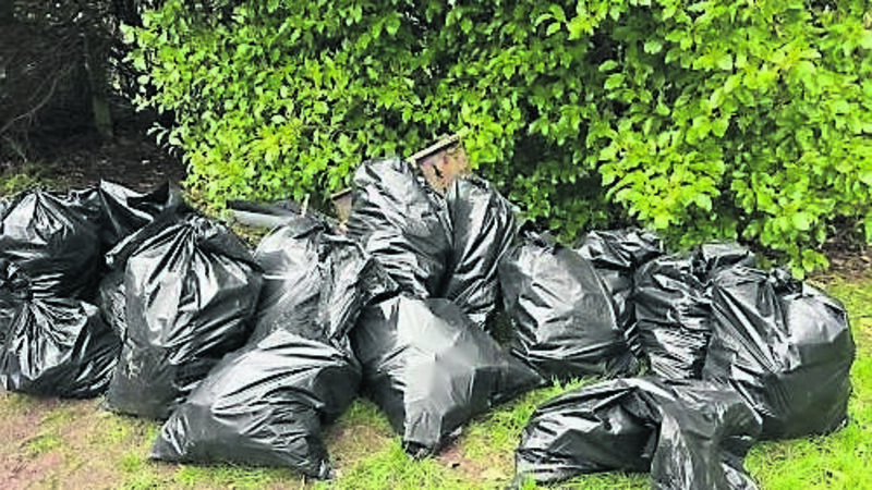 All About Cork: Douglas Tidy Towns clear waste from local woodland