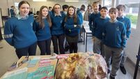 Cork students shown impact flagrant flushing can have on the environment