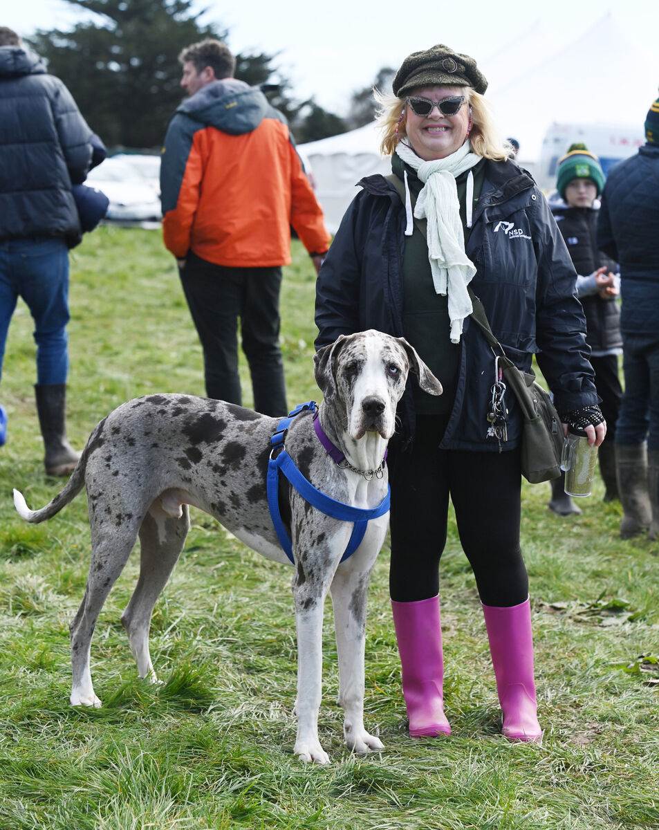 Thea Trussler with her Great dane Fergal from Mount Uniacke at Ballynoe point to point races. Picture: Eddie O'Hare Thea Trussler with her Great dane Fergal from Mount Uniacke at Ballynoe point to point races. Picture: Eddie O'Hare