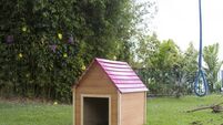 Kennel on grass in the garden