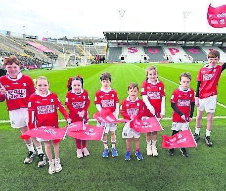 The Cork mascots ahead of Cork vs Galway in the Allianz Hurling League Division 1, round 7 game at SuperValu Páirc Uí Chaoimh. 	Pic: Jim Coughlan
                    