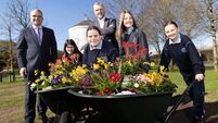 Tidy Towns competition playing a key role in helping to tackle climate change