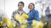 Family of late Cork singer partner with Irish Cancer Society for Daffodil day 