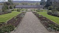 Gardening: What is the best mulch for gardens?