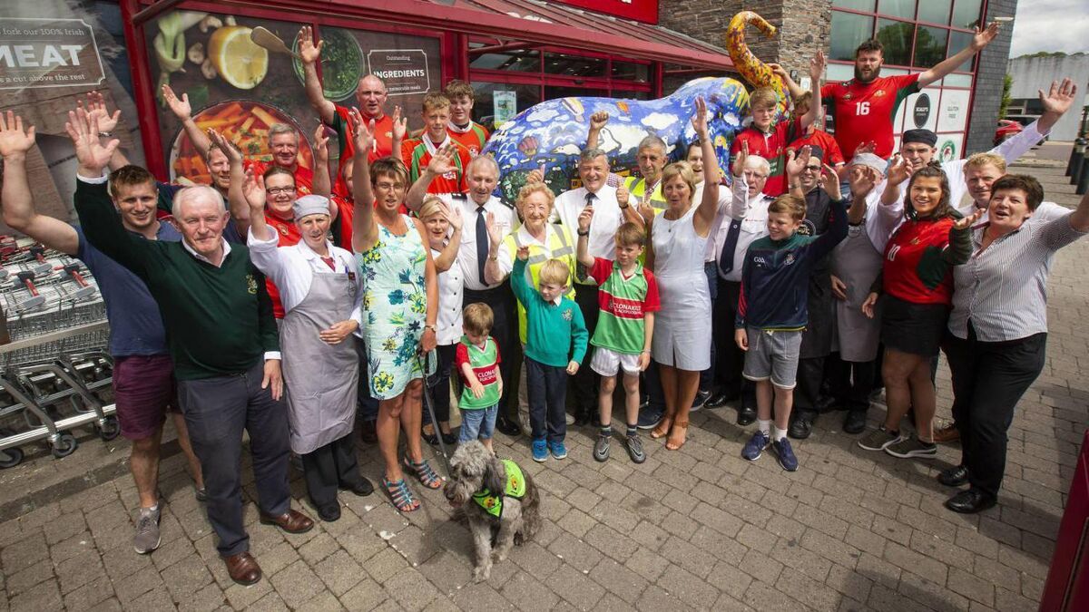 TV: Cork town’s mission to be autism-friendly in focus 