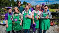 Green Cork projects in spotlight on TV series